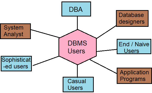 DBMS Users in Hindi