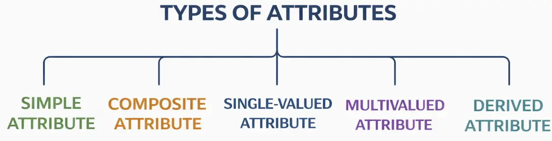 Types of Attributes in DBMS in Hindi