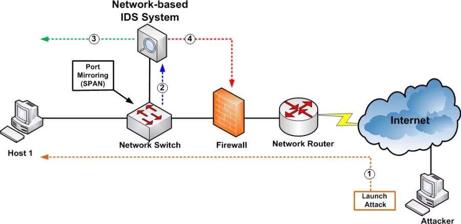 Network_based_IDS_IPS.png.jpg image