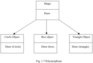 oops concepts in hindi - polymorphism