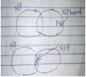 np hard in hindi