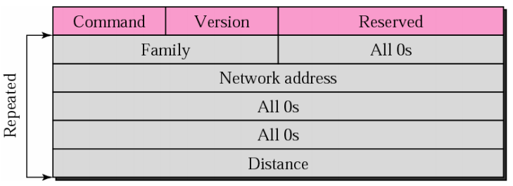 RIP message format in Hindi