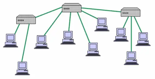 tree topology in hindi