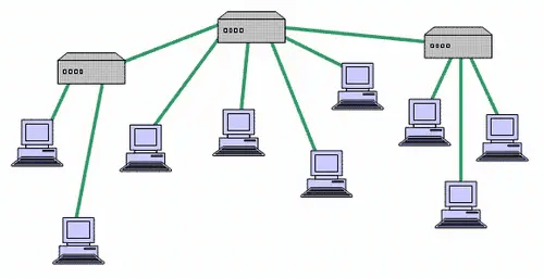 tree-topology-in-hindi 