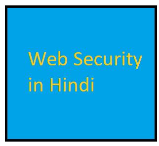 web security in hindi