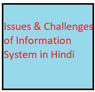 Issues & Challenges of Information System in Hindi